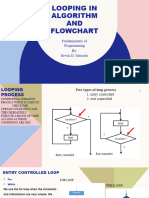 Looping Procees