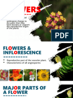 2 Reading Materials FBS011 Plant Morphology 2 (Flowers, Fruits, Seeds) - 1