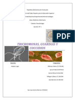 Trichomonas, Giardia y Coccidio