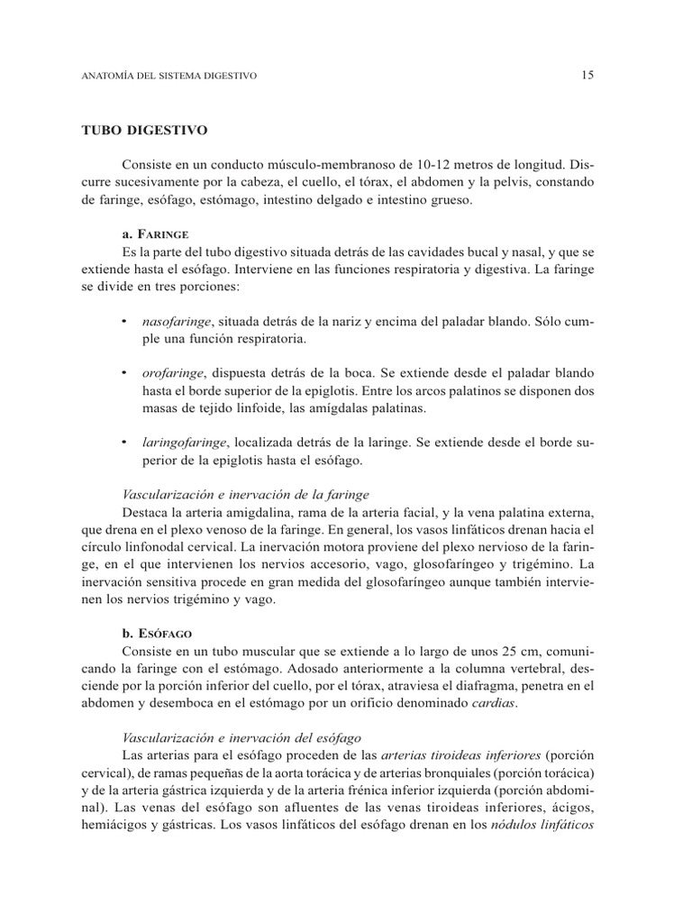 Anatomía Del Sistema Digestivo Pdf Estómago Hígado