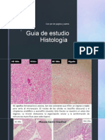 Histología ESTUDIO CON TEXTO