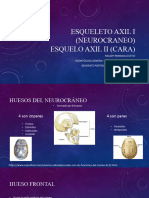 Esqueleto Axil I (Neurocraneo) (Autoguardado)