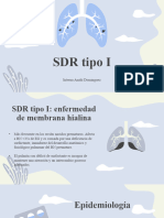 SDR Tipo 1