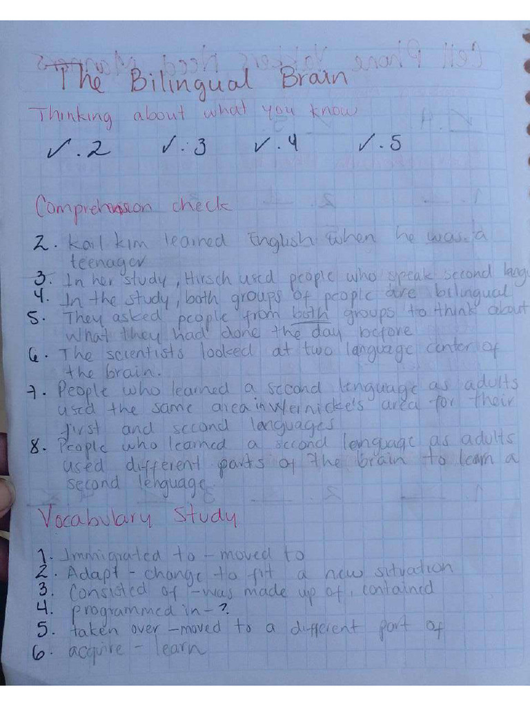Bilingual Brain Pdf