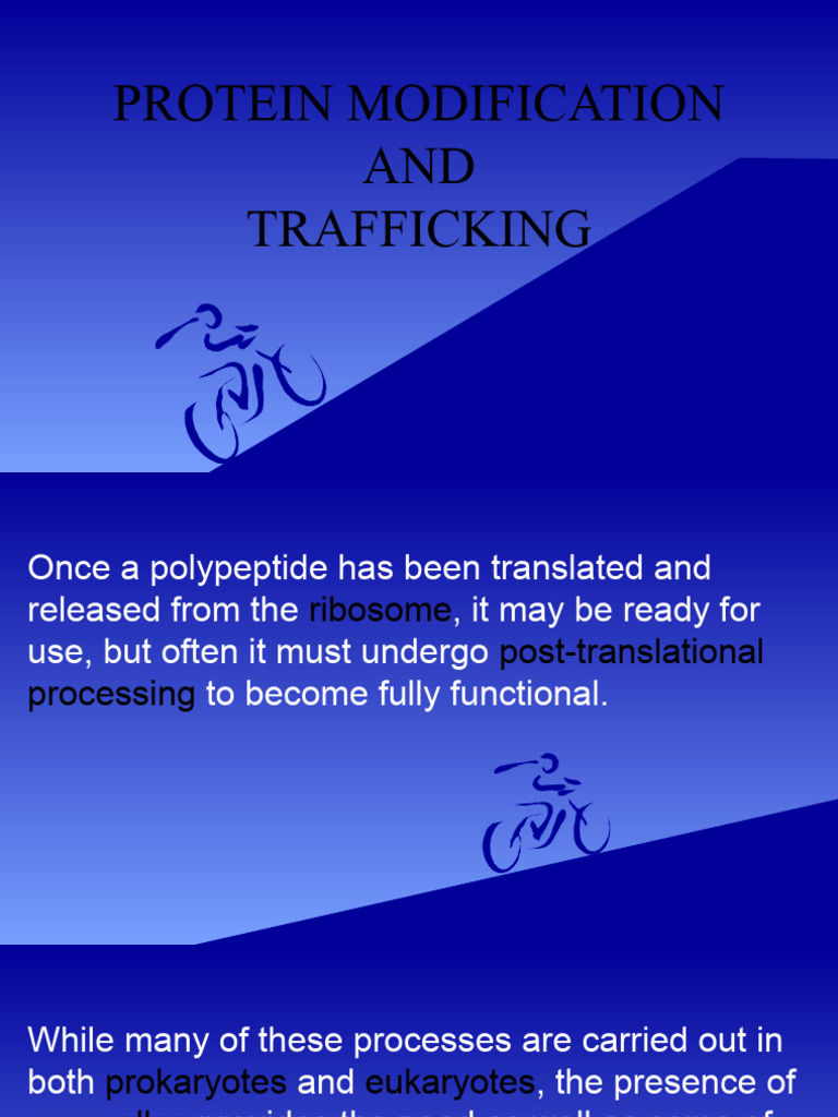 Protein Modification AND Trafficking | PDF