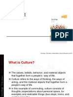 Lecture 03-Culture