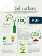 Ciclo Del Carbono