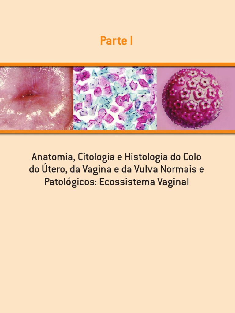 Parte I | PDF | Vagina | Anatomia sexual