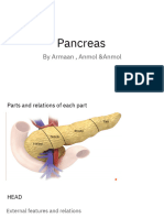 Pancreas A PDF