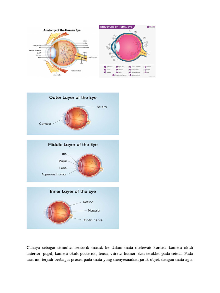 lampiran bbdm diskusi 2 modul 2.1 | PDF