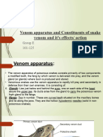 Venom Apparatus and Constituents of Snake Venom