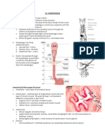 iNTERNAL oRGANS