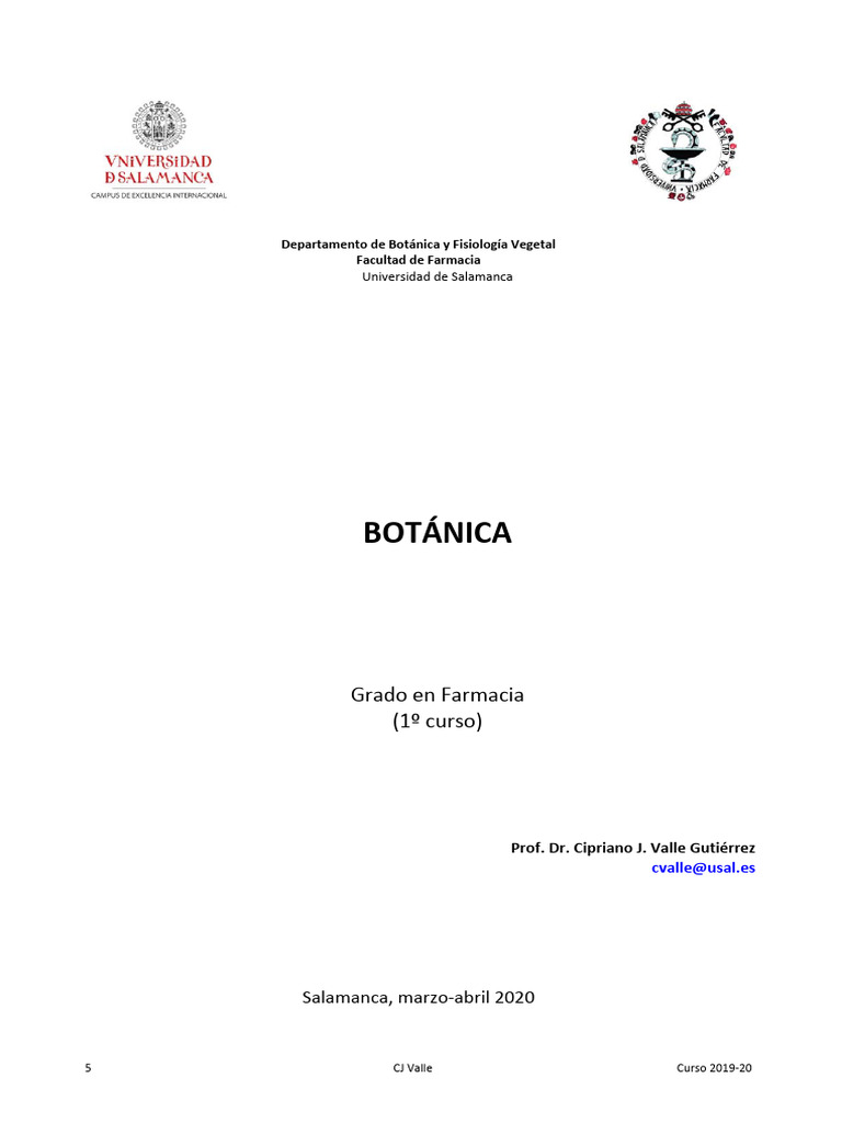 Características de Magnoliophyta | PDF | Flores | Horticultura