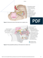 Anatomy of The Facial Nerve (CN VII)