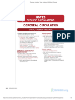 Coronary Circulation