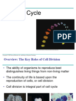 Cell Cycle - Class