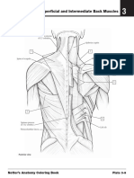 Netter's Anatomy Coloring Bookfffff