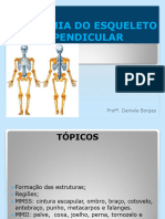 Anatomia Do Esqueleto Apendicular