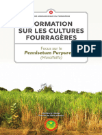Guide Andragogique Du Formateur Formation Sur Les Cultures Fourrageres Focus Sur Le Pennisetum Purpureum Maralfalfa 1709032850