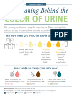 Color of Urine Infographic
