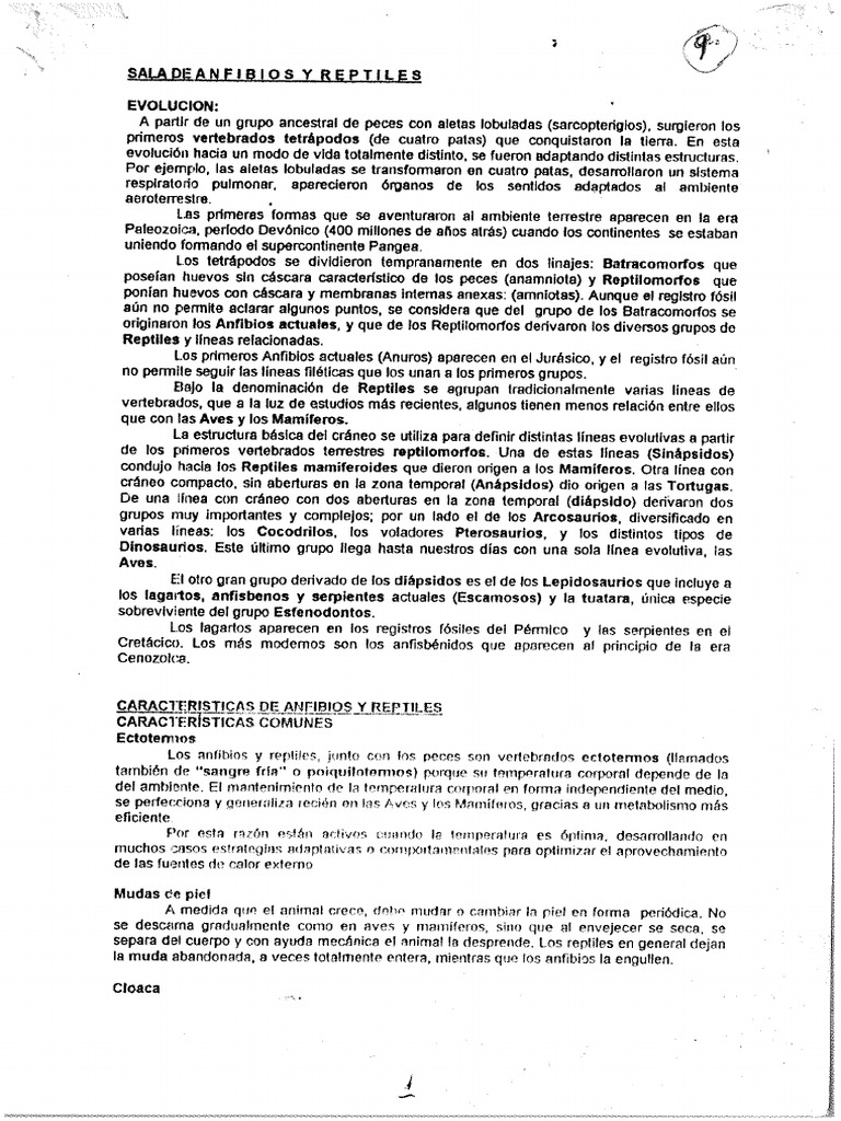 9A | PDF