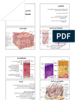 Integumentary System EDN Stu - En.ar