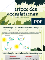 Nutrição Dos Ecossistemas