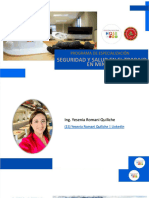 PDF Sesion 08 Pets Petar en Mineria Compress