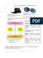 Quelles Sont Les Objets Et Les Traces de La Démocratie Athénienne