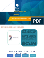 Técnicas Del ADN Recombinante, PCR y Tipos de P