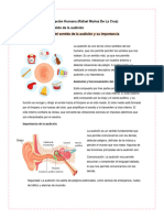 Tarea Unidad 3 El Sentido de La Audición