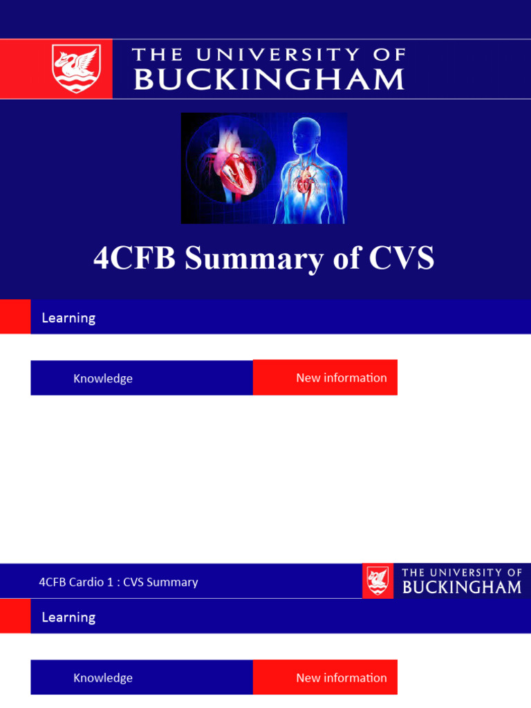 CVS Structure and Function Overview | PDF | Heart Valve | Artery