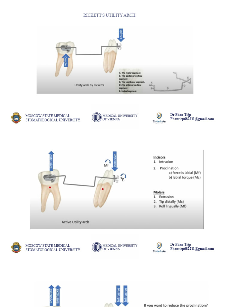 Pricing for 14G Venous Cannulas | PDF | Wellness | Science & Mathematics