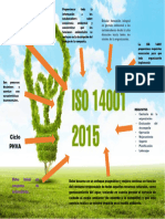 Mapa Mental 14001-2015