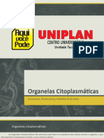 Organelas Citoplasmaticas