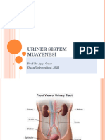 Dönem Iii Üri̇ner Si̇stem Muayenesi̇-2023