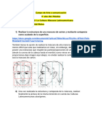 Ed. Plastica 3° Compensatorio 2° Cuat.