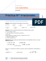 Práctica de Irracionales PDF