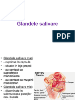 Glandele Salivare - AMG