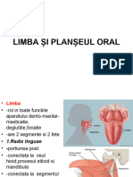 Limba Și Planșeul Oral - AMG