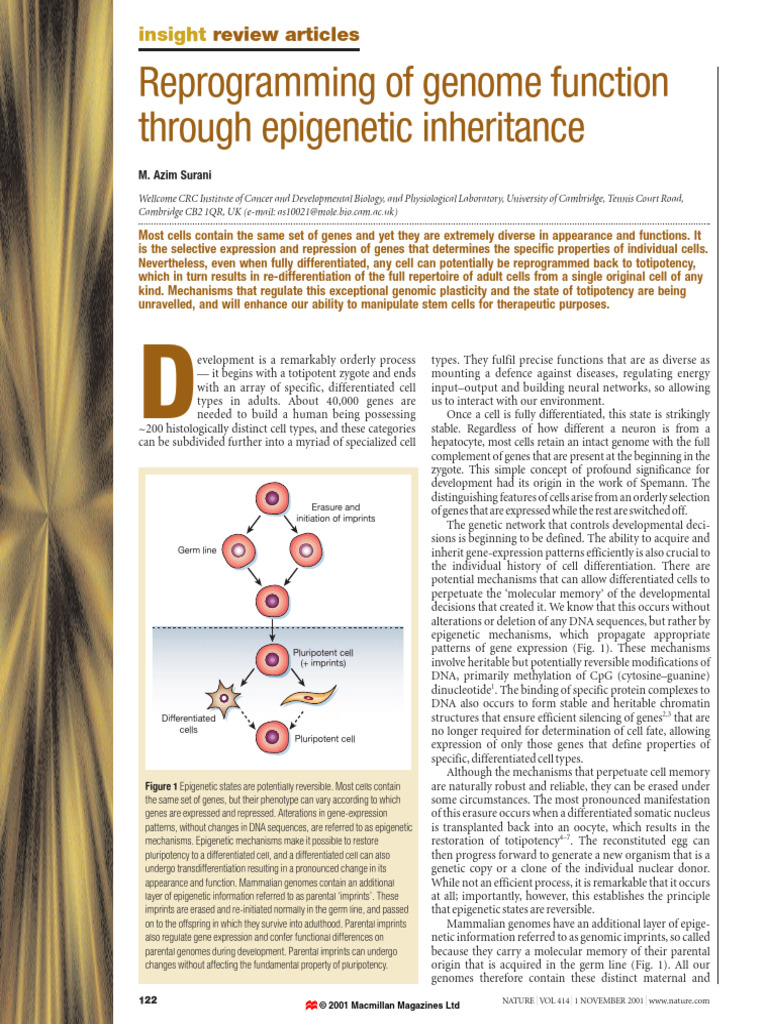 Reprogramming of Genome Function Through Epigenetic Inheritance | PDF
