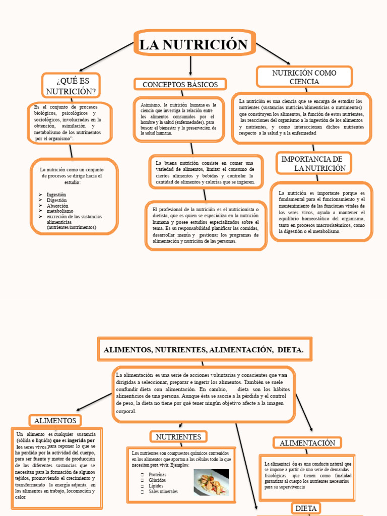 Mapa Conceptual de la Nutrición | PDF | Nutrientes | Alimentos