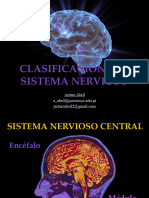 Clasificación Del Sistema Nervioso - Slideshow