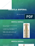 Medula Espinal y Correlacion Clinica