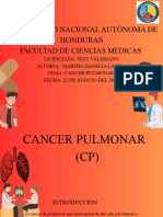 Cancer de Pulmon (CP)