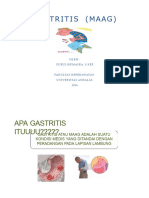 PDF Lembar Balik Gastritis