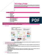 Apuntes Bacteriologia