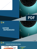 Sistem Reproduksi PDF
