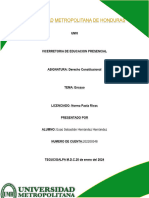 Derecho Constitucional - Ensayo