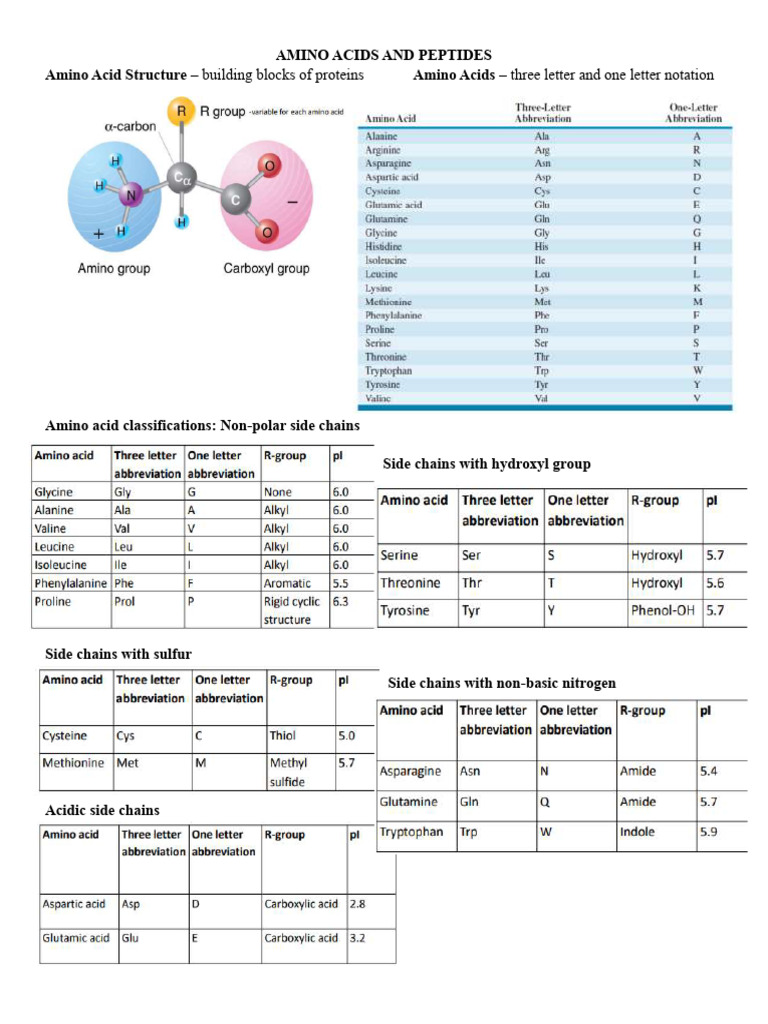 amino-acids-and-peptides-pdf